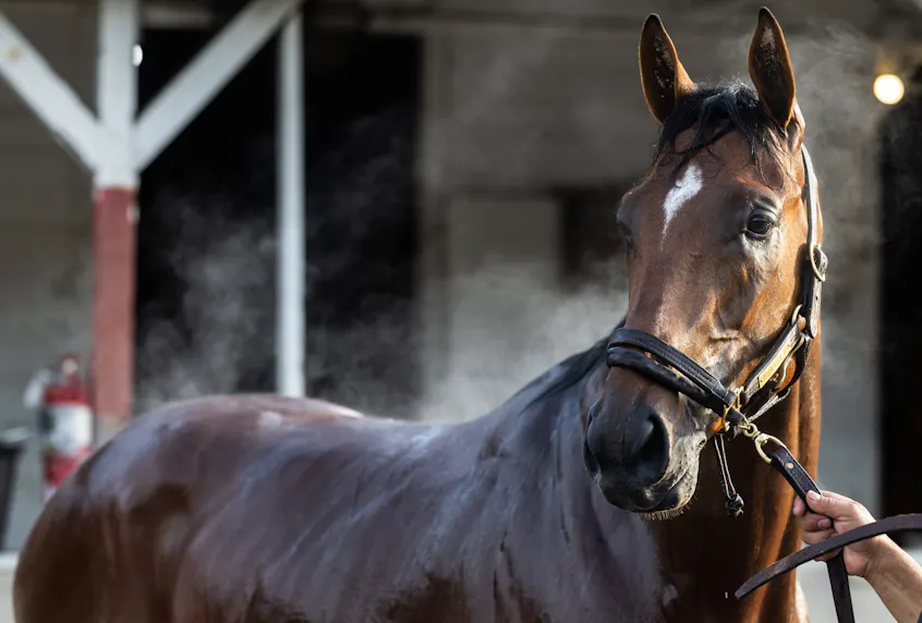 FanDuel Adds New Promos for 2025 Kentucky Derby